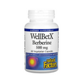 WellBetX Berberine,500mg,