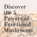 Discover the 5 Powers of Functional Mushrooms