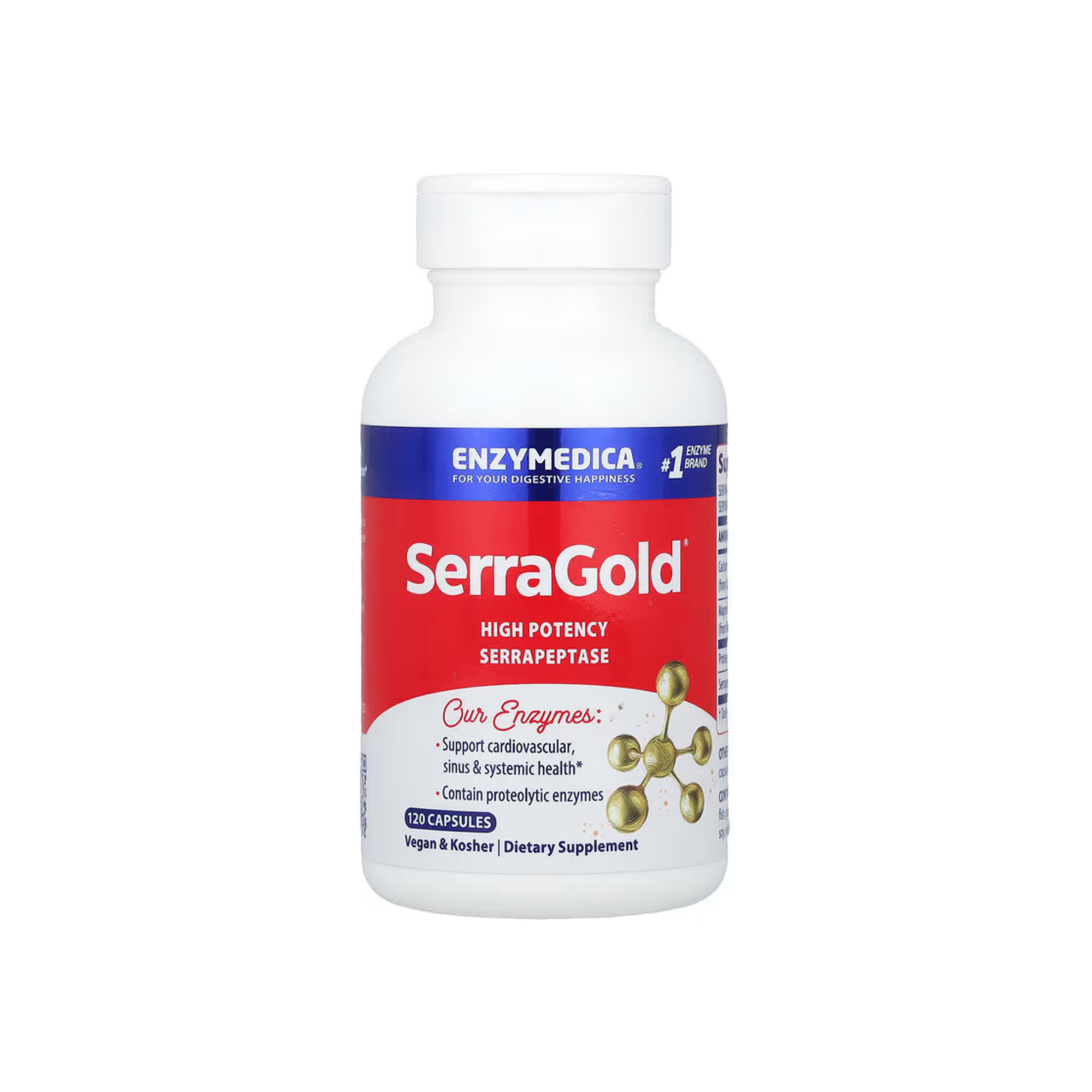 SerraGold, High Potency Serrapeptase