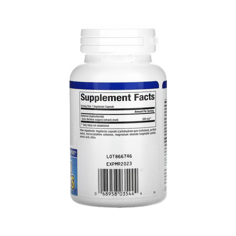WellBetX Berberine,500mg,
