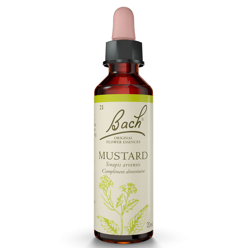 bach-flowers-mustard-20ml-original-mustard_8246ab78-deca-47f7-ae6f-87f48ca0270c.jpg